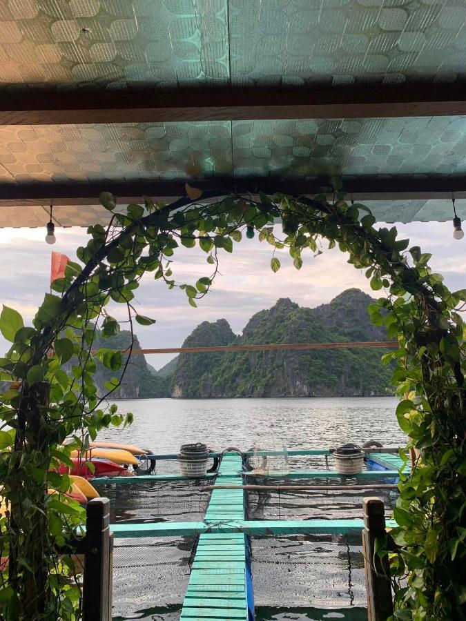 Eco Floating Farm Stay Cai Beo Chan Chau Esterno foto